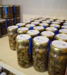 Santorini Local Capers